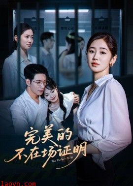 完美的不在场证明