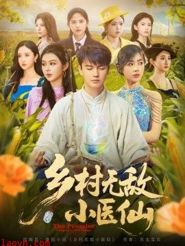乡村无敌小医仙