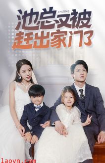 池总又被赶出家门了