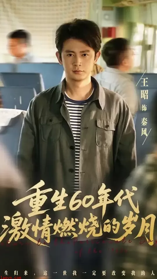 重生60年代激情燃烧的岁月