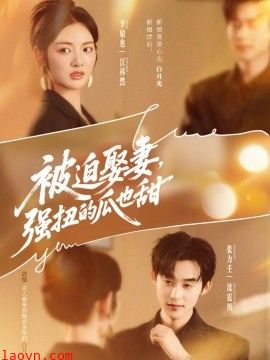 被迫娶妻,强扭的瓜也甜