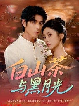 白山茶与黑月光