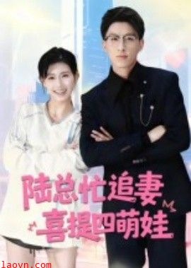 陆总忙追妻喜提四萌娃