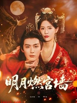 明月燃宫墙