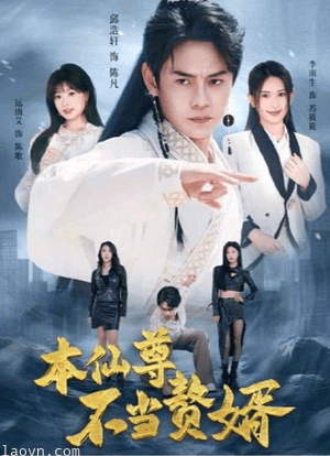 本仙尊不当赘婿