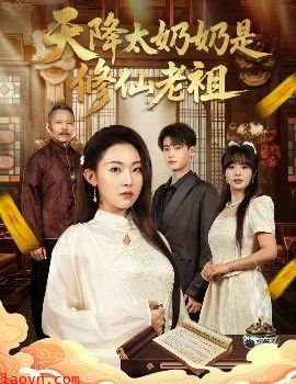 天降太奶奶是修仙老祖