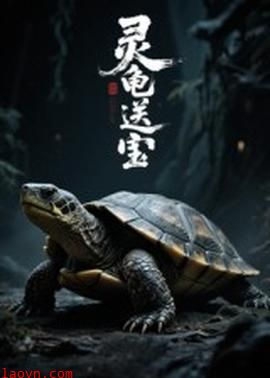 灵龟送宝