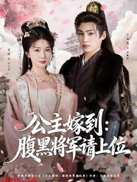 公主嫁到：腹黑将军请上位