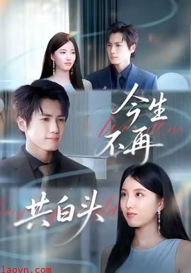 今生不再共白头
