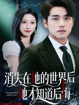 消失在她的世界后她才知道后悔