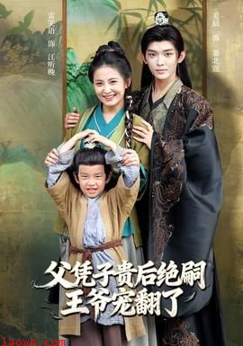 父凭子贵后绝嗣王爷宠翻了