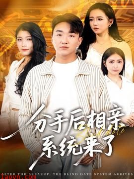 分手后相亲系统来了