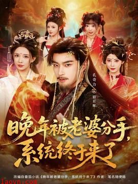 晚年被老婆分手,系统终于来了