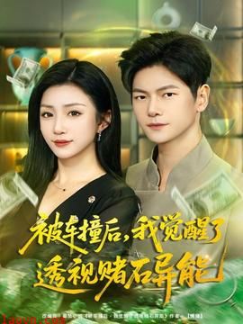 被车撞后,我觉醒了透视赌石异能