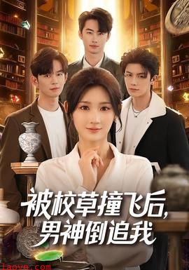 被校草撞飞后男神倒追我