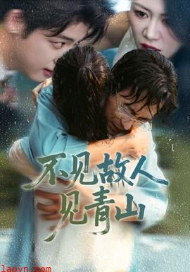 不见故人见青山