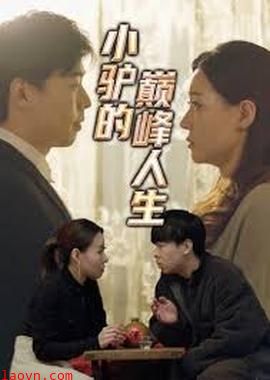 小驴的巅峰人生