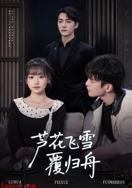 芦花飞雪覆归舟