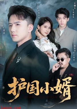 护国小婿