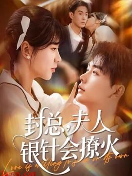 封总,夫人银针会撩火