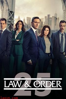 法律与秩序第二十五季