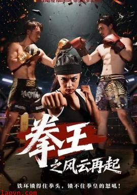 拳王之风云再起