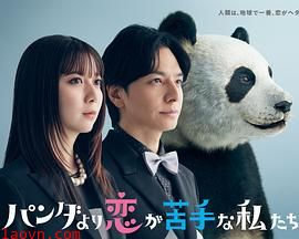 比熊猫更不擅长恋爱的我们