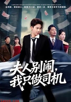 夫人别闹我只做司机