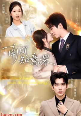 南风知意深