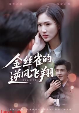 金丝雀的逆风飞翔