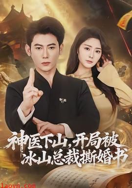 神医下山，开局被冰山总裁撕婚书
