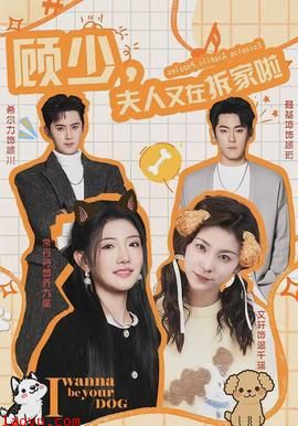 顾少，夫人又在拆家啦