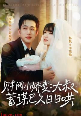 财阀小娇妻大叔蓄谋已久日日哄