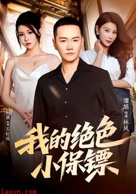 我的绝色小保镖