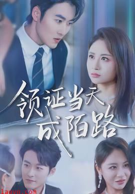领证当天成陌路