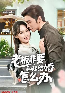 老板非要和我结婚怎么办