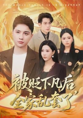 被贬下凡后全家乱套了