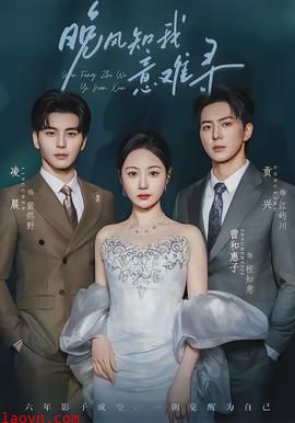 晚风知我意难寻