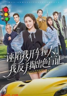 诬陷我开车撞人,我反手掏出色盲证