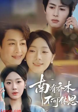 南有乔木，不可休思