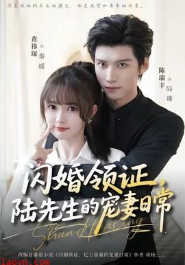 闪婚领证，陆先生的宠妻日常