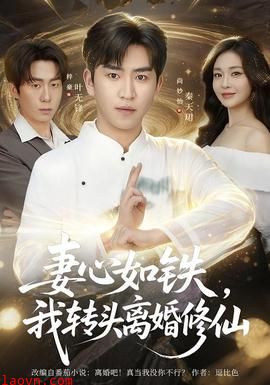 妻心如铁我转头离婚修仙