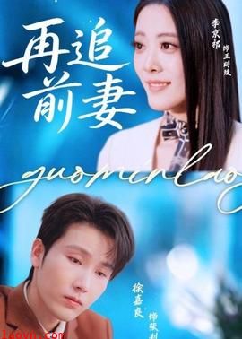 再追前妻