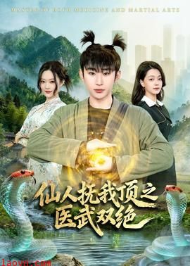 仙人抚我顶之医武双绝