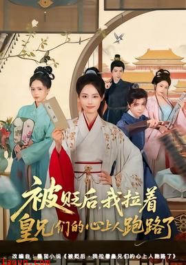 被贬后，我拉着皇兄们的心上人跑路了