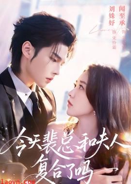 今天裴总和夫人复合了吗