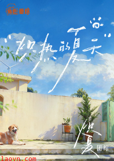 炽热的夏天