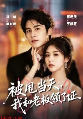 被甩当天，我和老板领了证