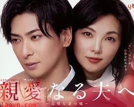 致亲爱的丈夫~完美妻子的谎言~