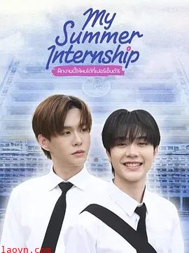 我的夏日实习
